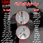 آموزش کاتا و تکنیک های شوتوکان کاراته