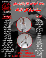 آموزش کاتا و تکنیک های شوتوکان کاراته