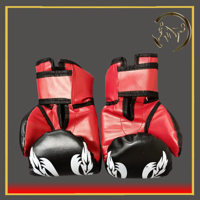 دستکش بوکس مبتدی