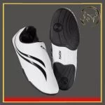 کفش تکواندو