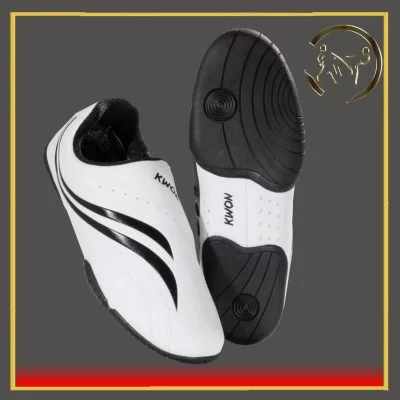 کفش تکواندو