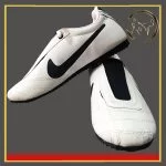 کفش تکواندو نایک