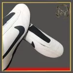 کفش تکواندو نایک