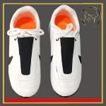 کفش تکواندو نایک