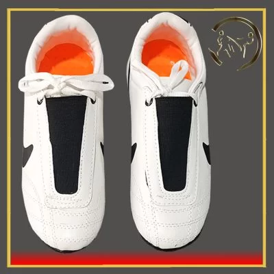 کفش تکواندو نایک