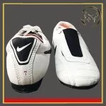 کفش تکواندو نایک