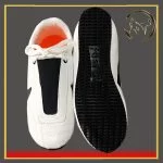 کفش تکواندو نایک