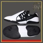 کفش تکواندو